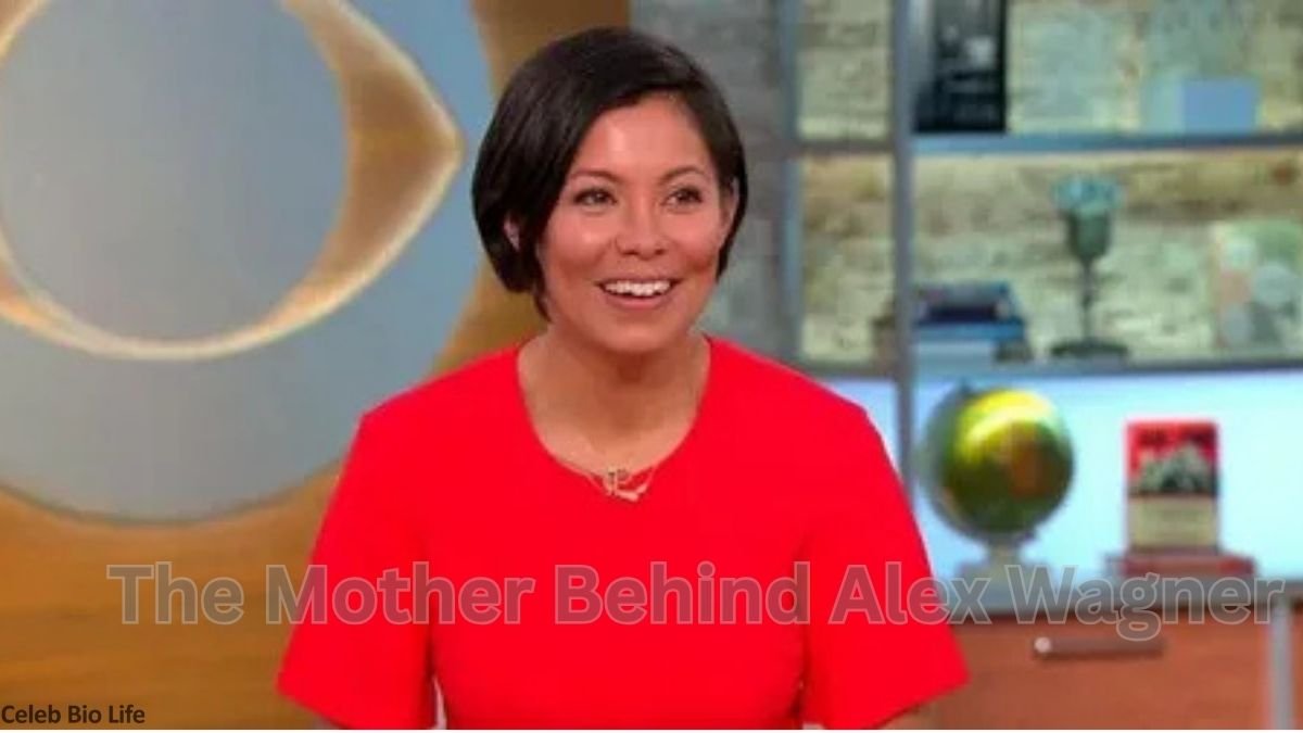 Alex Wagner's mother during TV interview